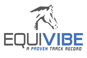 EquiVibe Logo