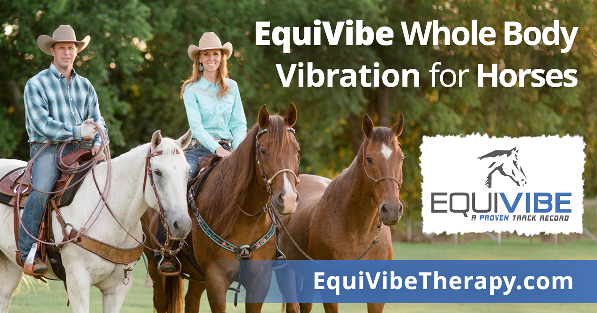 500 OFF EquiVibe Whole Body Vibration Platform Therapy for Horses